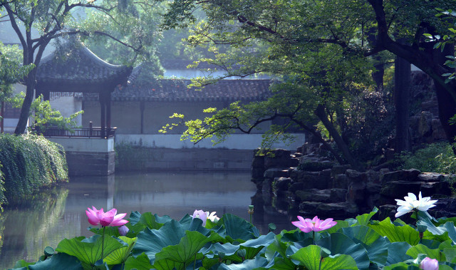 苏州景点免费就地过年,苏州景区免费景点大全