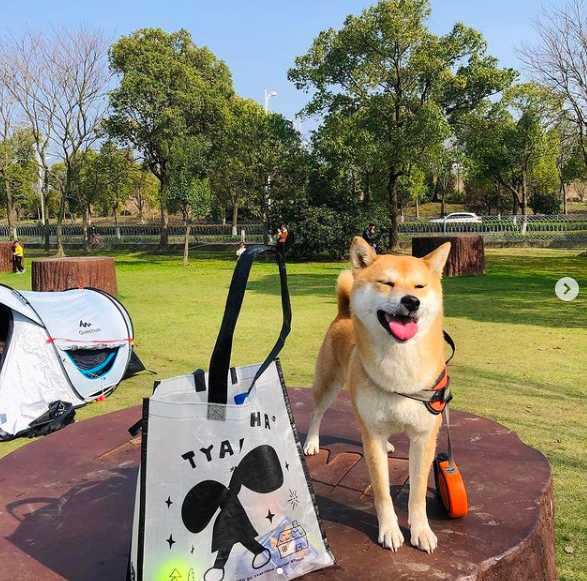 双肩包推荐质量好容量大,大牌双肩包哪款最好