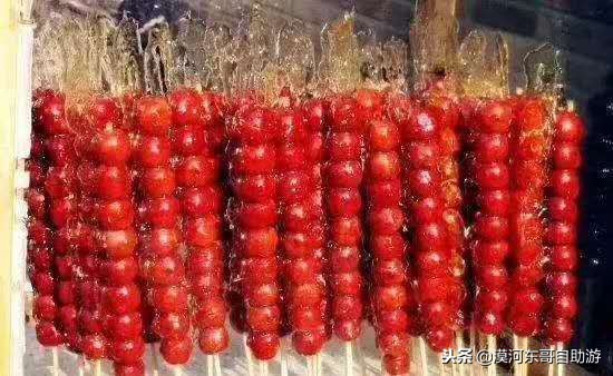 漠河极寒之旅,漠河遇到熊