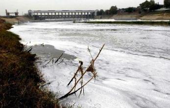 洋垃圾性能很差吗,洋垃圾生存之道