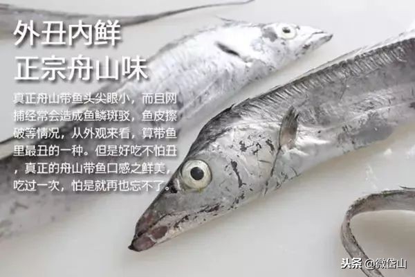 雷达网带鱼和普通带鱼哪个好吃,流网带鱼和雷达网带鱼有什么区别