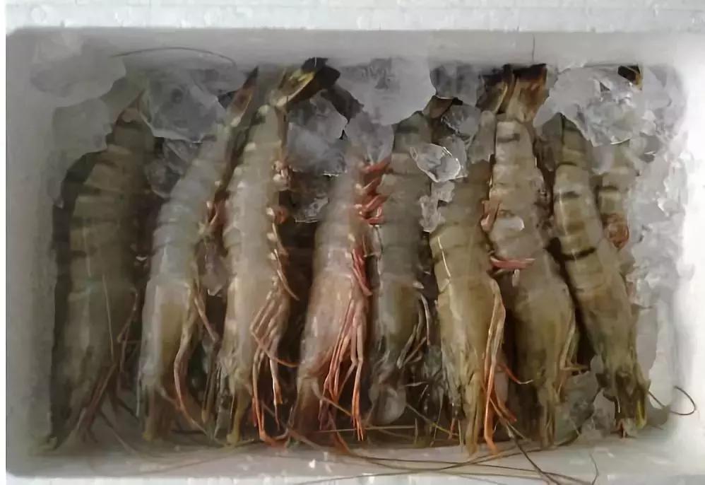 防城港怎么吃海鲜便宜不被坑,防城港干货海鲜有哪些