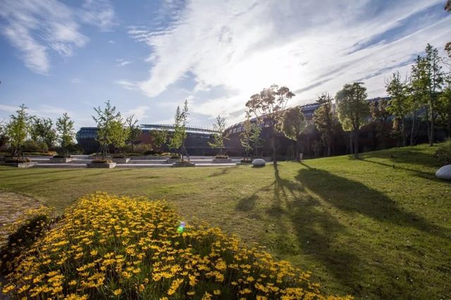 魔都一线江景酒店,魔都滴水湖酒店