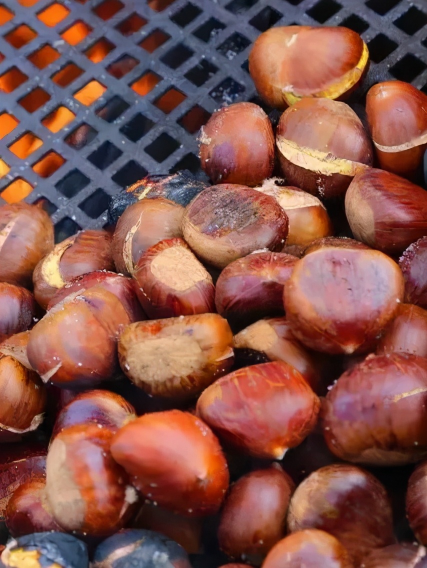 六安是什么样的城市,安徽六安是哪里的城市