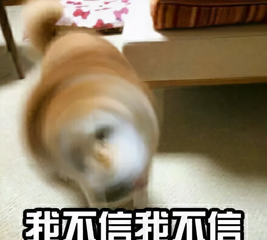 五一火车票什么时候买最容易买到,五一捡漏是真的吗