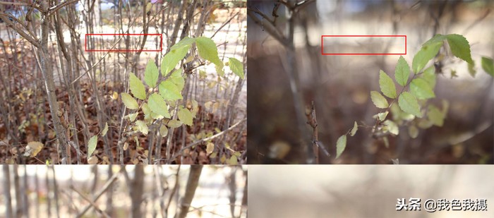 永诺35mmf2和1.8怎么选,永诺50mmf1.8和富士xc35mmf2.0