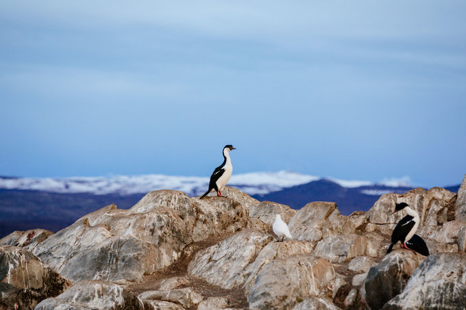 跟着电影游埃及,黎耀辉不如我们从头来过电影台词