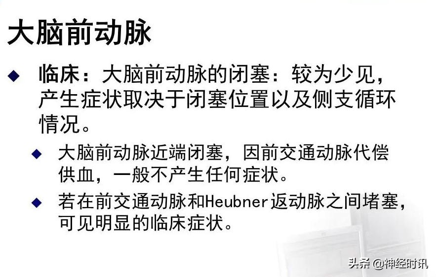 脑动脉解剖学讲解,基底节区脑血管解剖