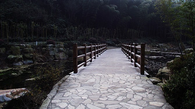 南京竹海宜兴竹海,宜兴华东第一竹海