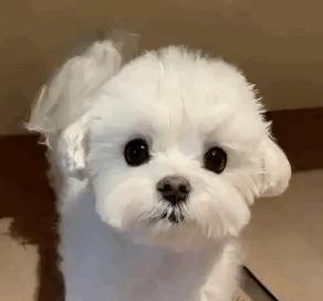 教你一招免费做美甲,挑战教会新手小白30天做美甲