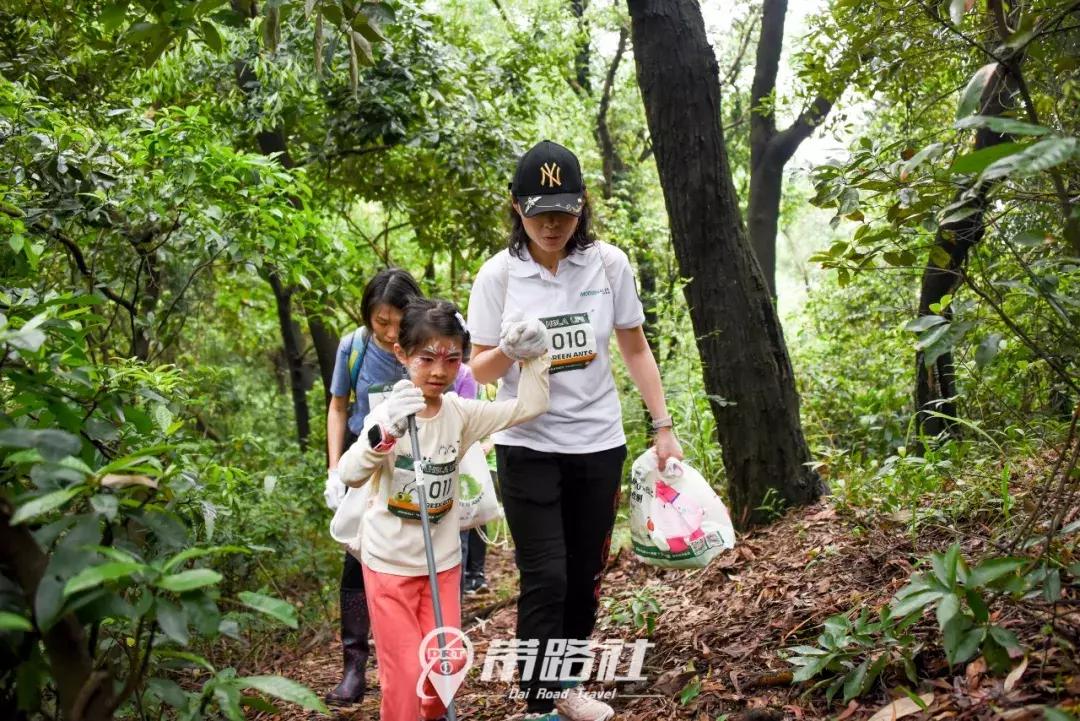 绿色环保行动实践活动总结,用行动践行绿色环保理念