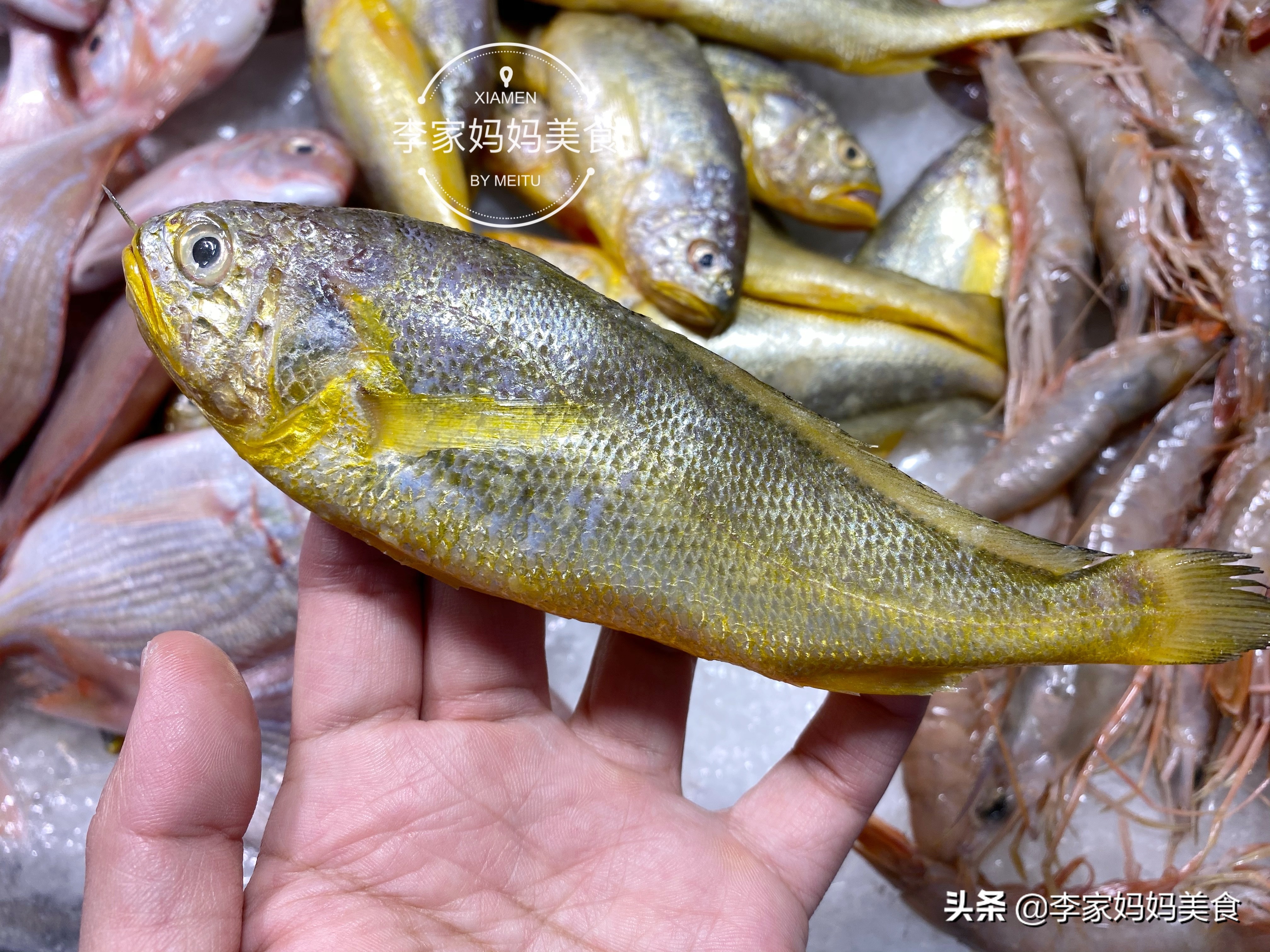 冬季海鲜推荐平价海鲜,便宜又好吃的冷门海鲜