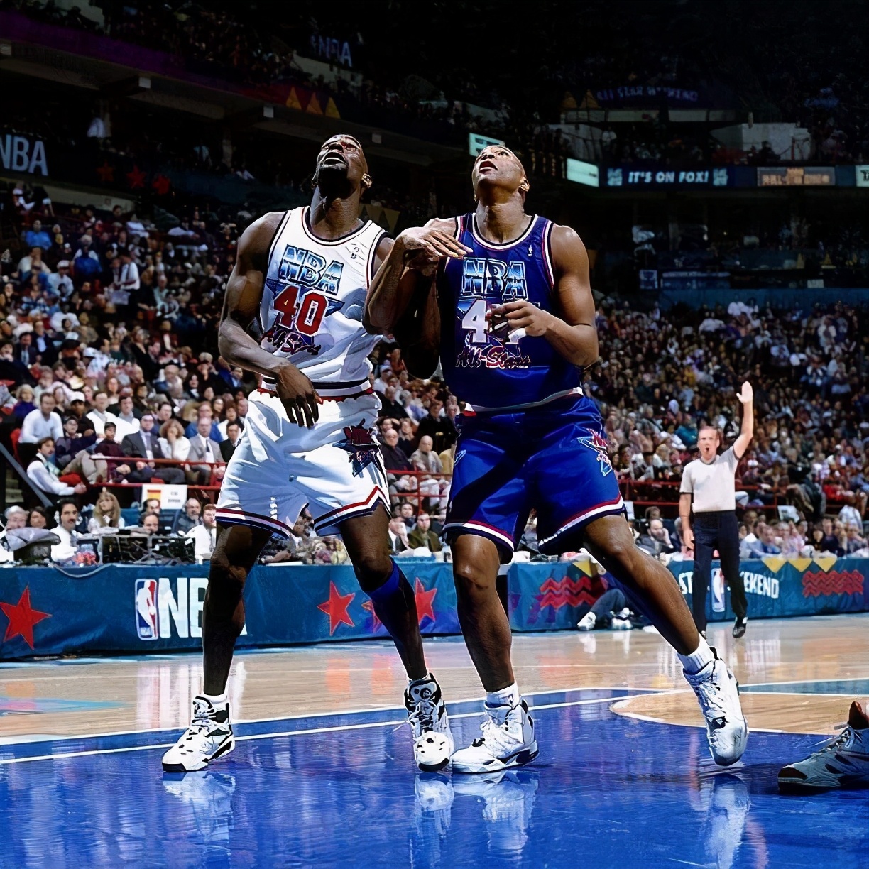 纽约人篮网,纽约人眼中的篮网