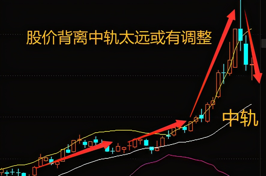 周末微学堂三伏天,周六股市基础理论学习