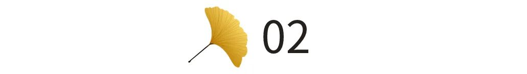 长途私家司机在高速上群发微信接客、语音闲聊,你遇到会怎么做?