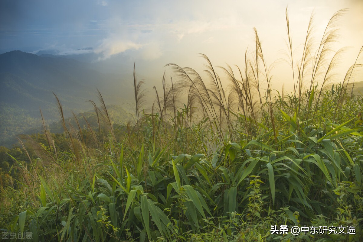 纪伯伦散文诗经典合集,推荐纪伯伦的散文诗雨之歌