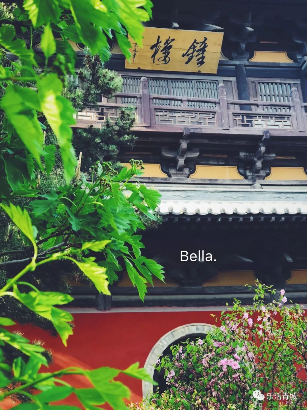 贝拉专访合集,贝拉专栏采访视频