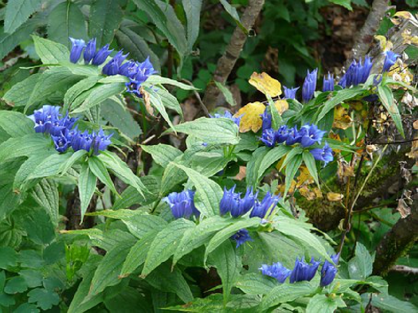 精辟人生感悟经典句子,经典语录精辟的短句人生感悟