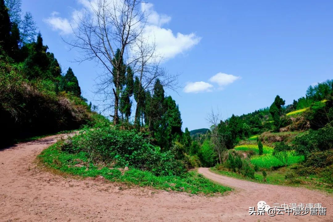 四川岳池黄龙水库,岳池黄龙杨家沟水库