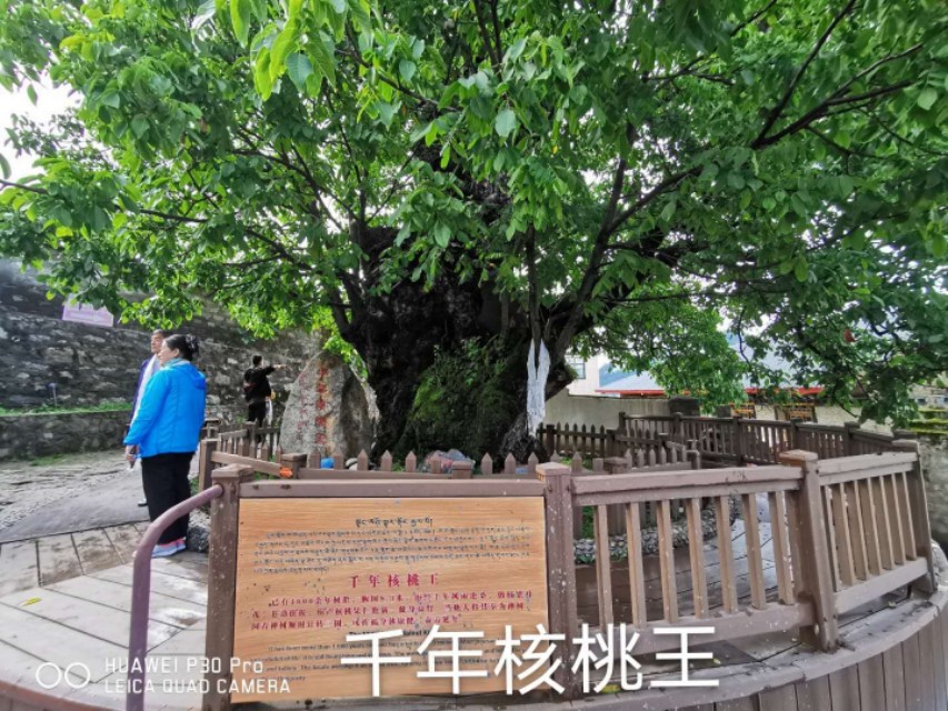 王君琪/天路行之——坐上火车游拉萨（五）