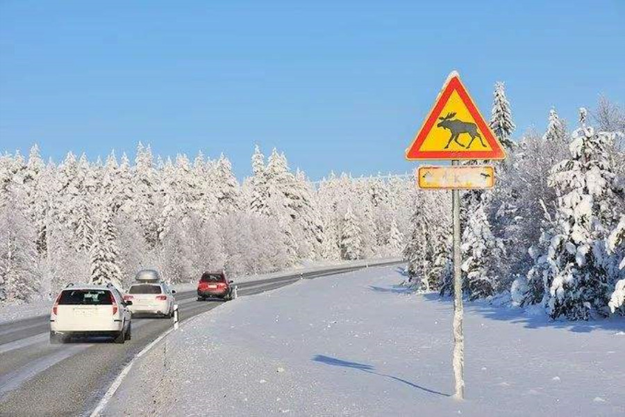 驾照漂移哪个国家最难,想学漂移还要报驾校吗