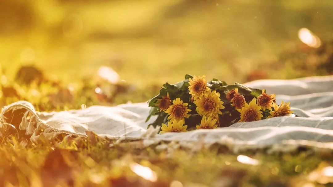 易感冒上火的原因,易上火易感冒吃什么药