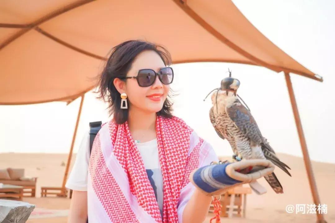 沙漠上的奇迹迪拜,沙漠奇迹之城攻略