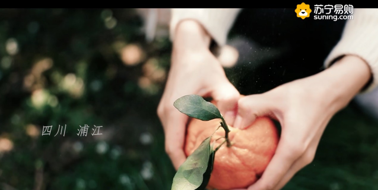 苏宁易购2019年货节最全攻略 (苏宁拼购2019年货)