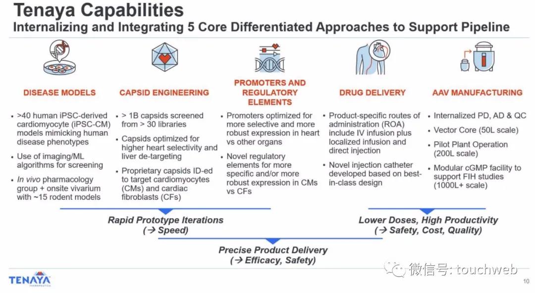基因疗法相关上市公司,tenaris公司