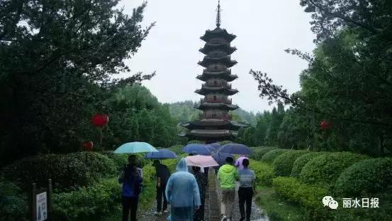 红色新丽水,红色浙西南央视