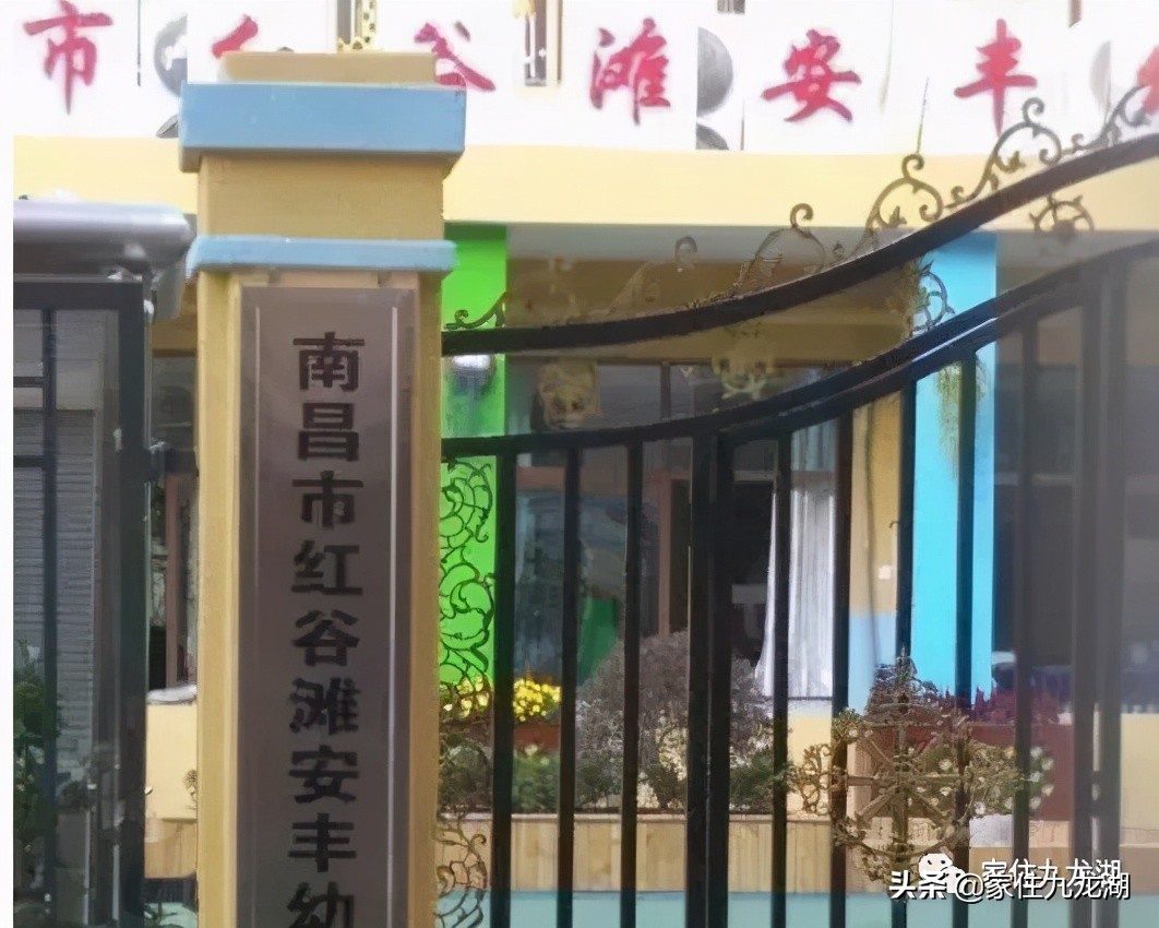 九龙湖附近幼儿园有哪些,九龙湖悦美滨江幼儿园