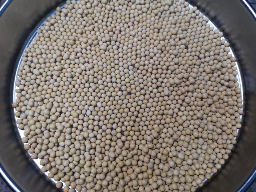 种植黄豆成本和利润,种一亩大豆成本明细