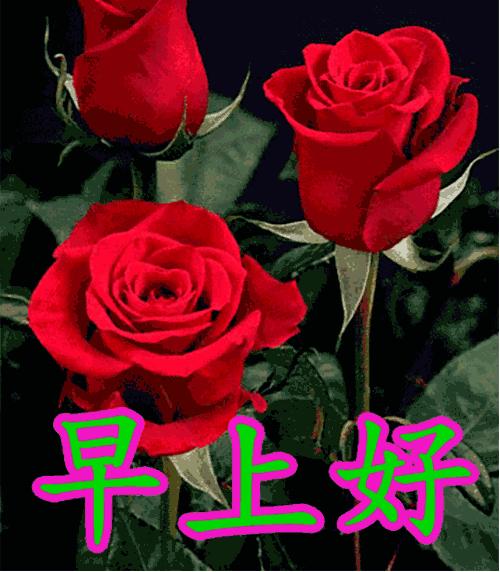 舒展快乐的笑脸,舒展美丽的笑脸拥抱快乐的一天