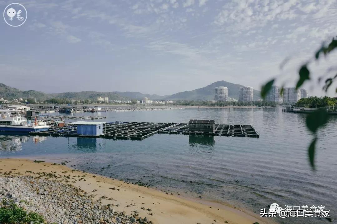 海南万宁兴隆美食攻略,海南万宁兴隆镇有什么特色小吃