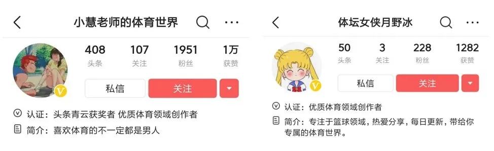 体育新星创作营,体育新星创作营球员