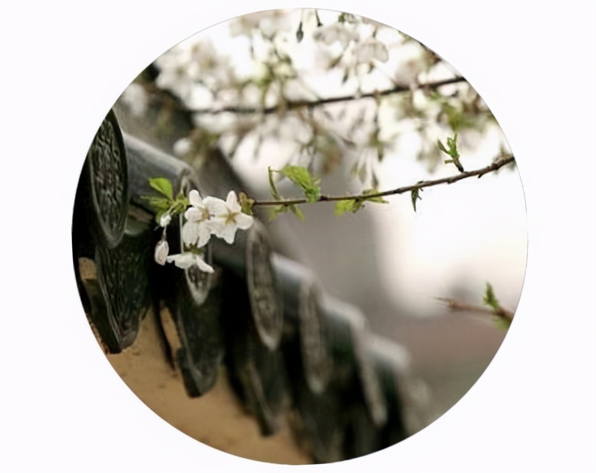 素履之往联想题分享：成语俗语系列3（出题人：流云掌门）