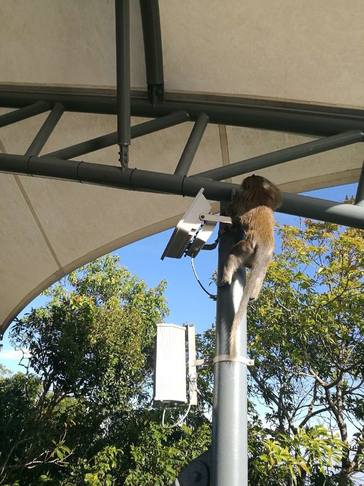 大海里的翡翠一兰卡威岛游记