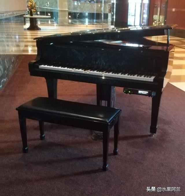 国际出行攻略,新西兰旅游攻略租车