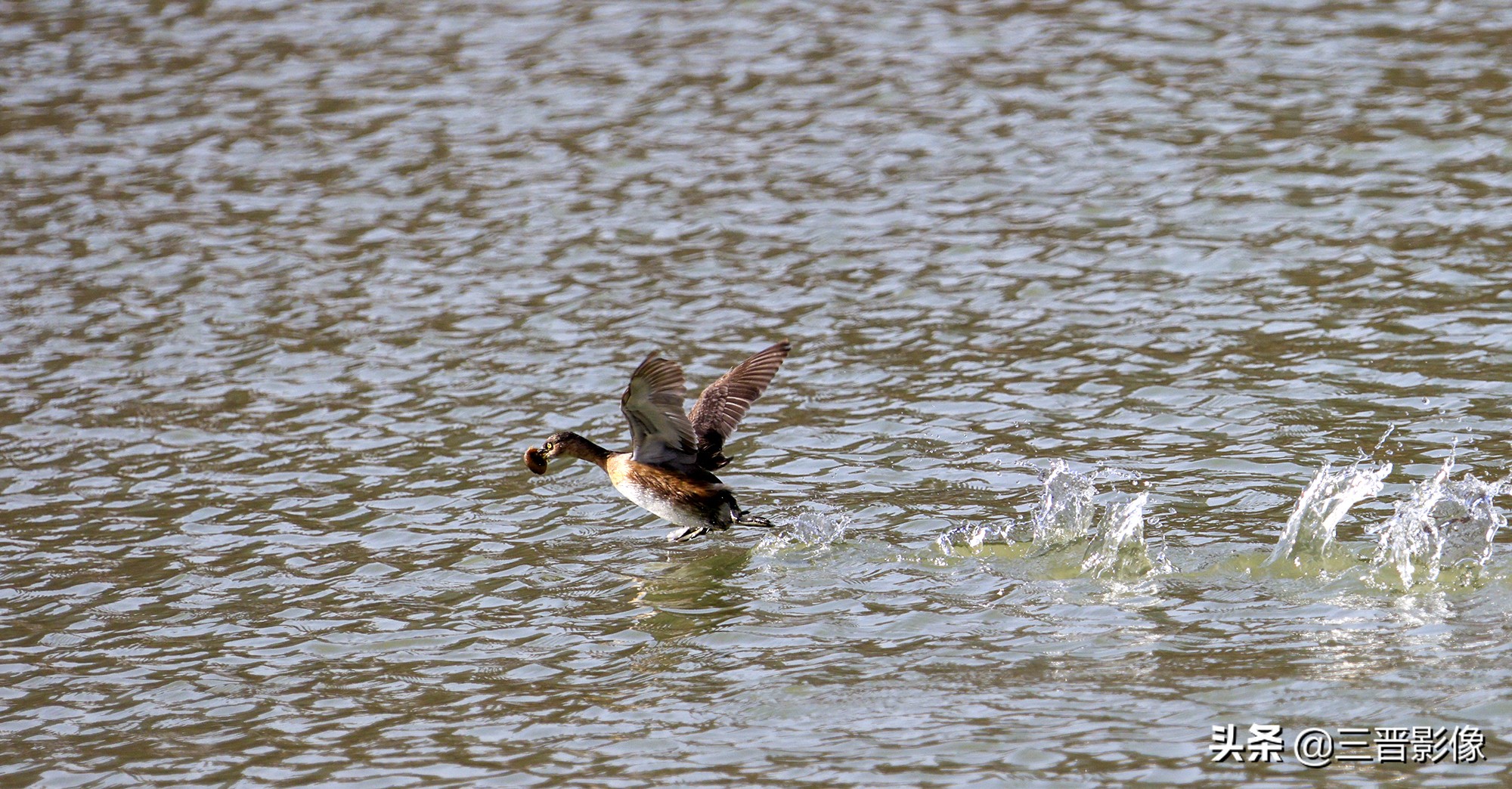 佳能r5转接佳能ef50l拍摄的作品,佳能r5转接ef镜头感觉没有5d4清晰