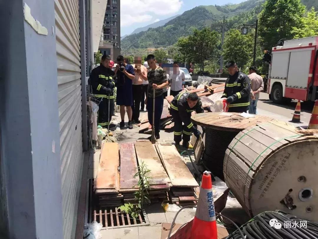 惠州小区发现眼镜蛇,一小区出现蛇