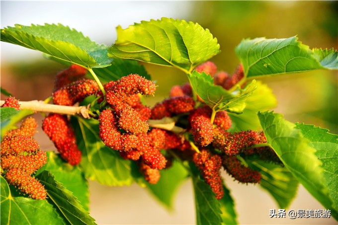 南海渔耕粤韵文化园,广东渔耕文化旅游园