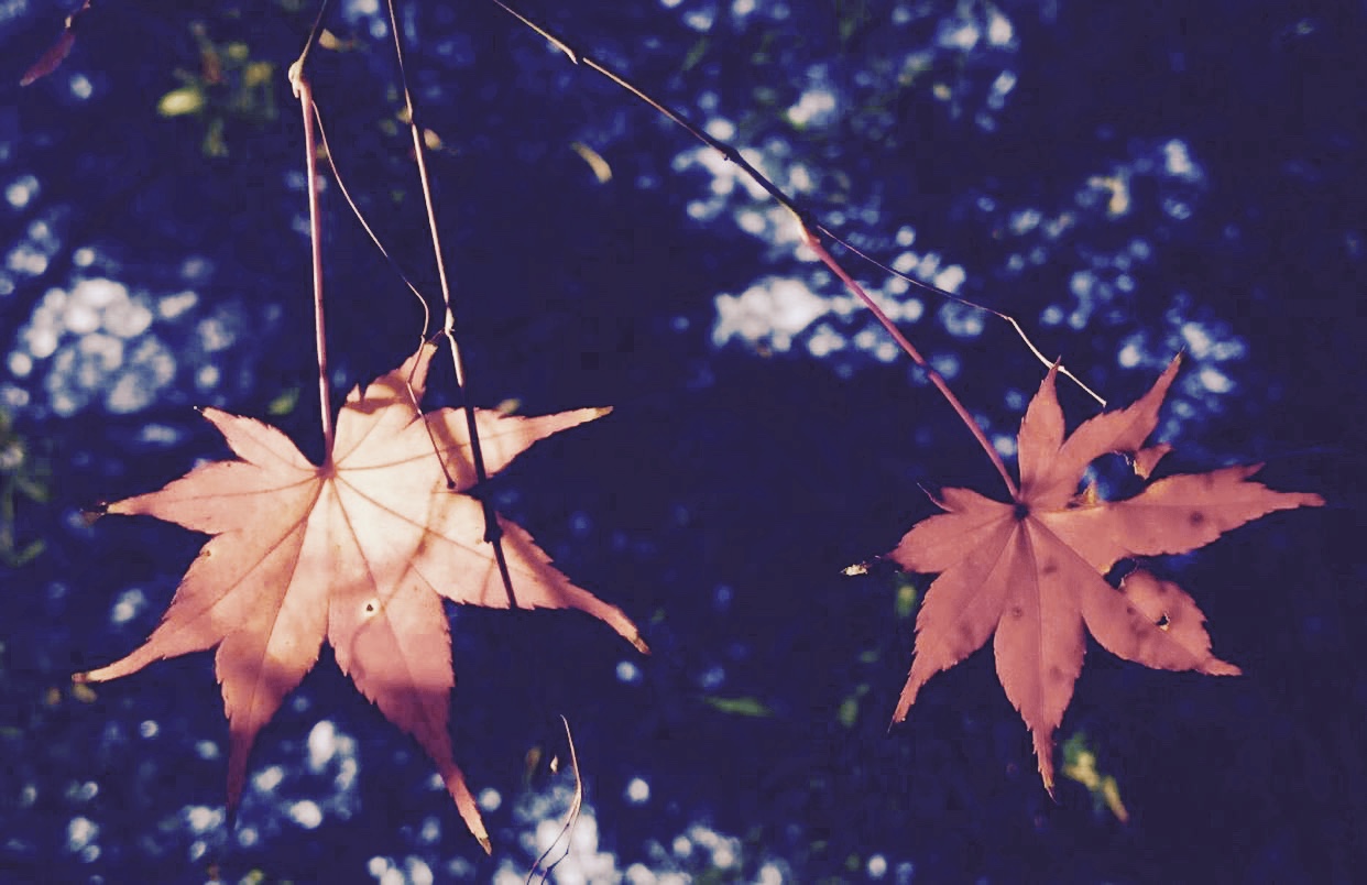 发现婆家人都很阴暗怎么办,发现婆家算计自己怎么办