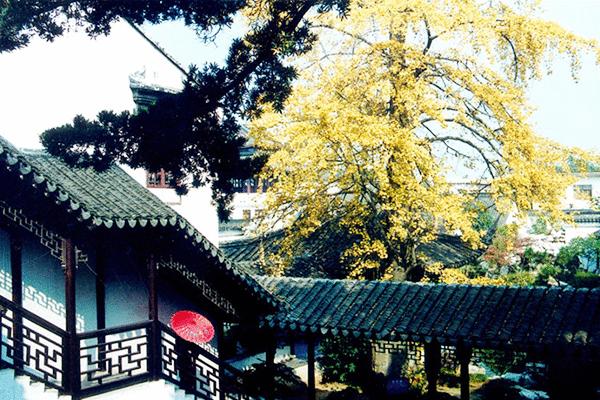 苏州最值得去的古镇攻略,去苏州最值得推荐的古镇