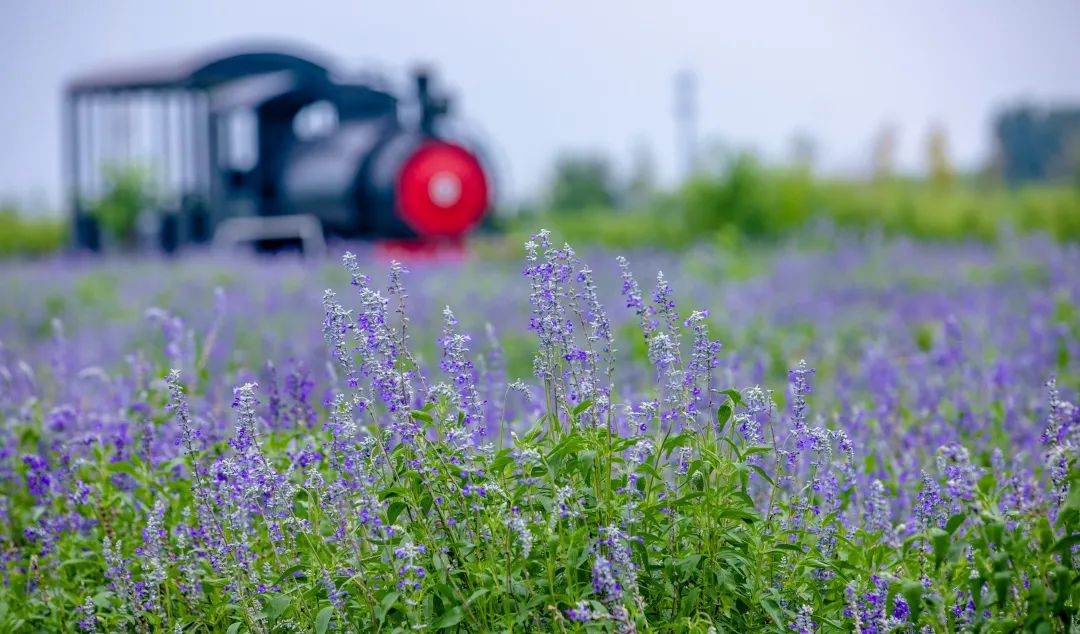 在济南花式避暑,一见“清”心!只需一瞥,便足以把酷夏原谅…