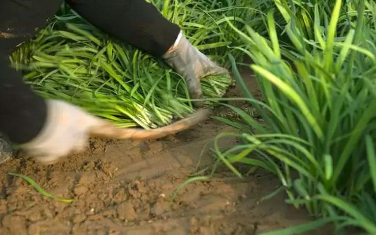 拿*币特比**、以太坊换项目币，项目方跑路，投资人咋办？