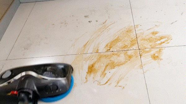 小狗吸尘器t12和t11拖地能共用吗,小狗吸尘器t12选择