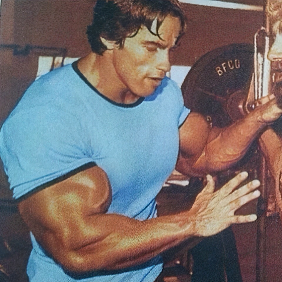 健身新手应该上小重量还是大重量,健身增肌用大重量还是小重量