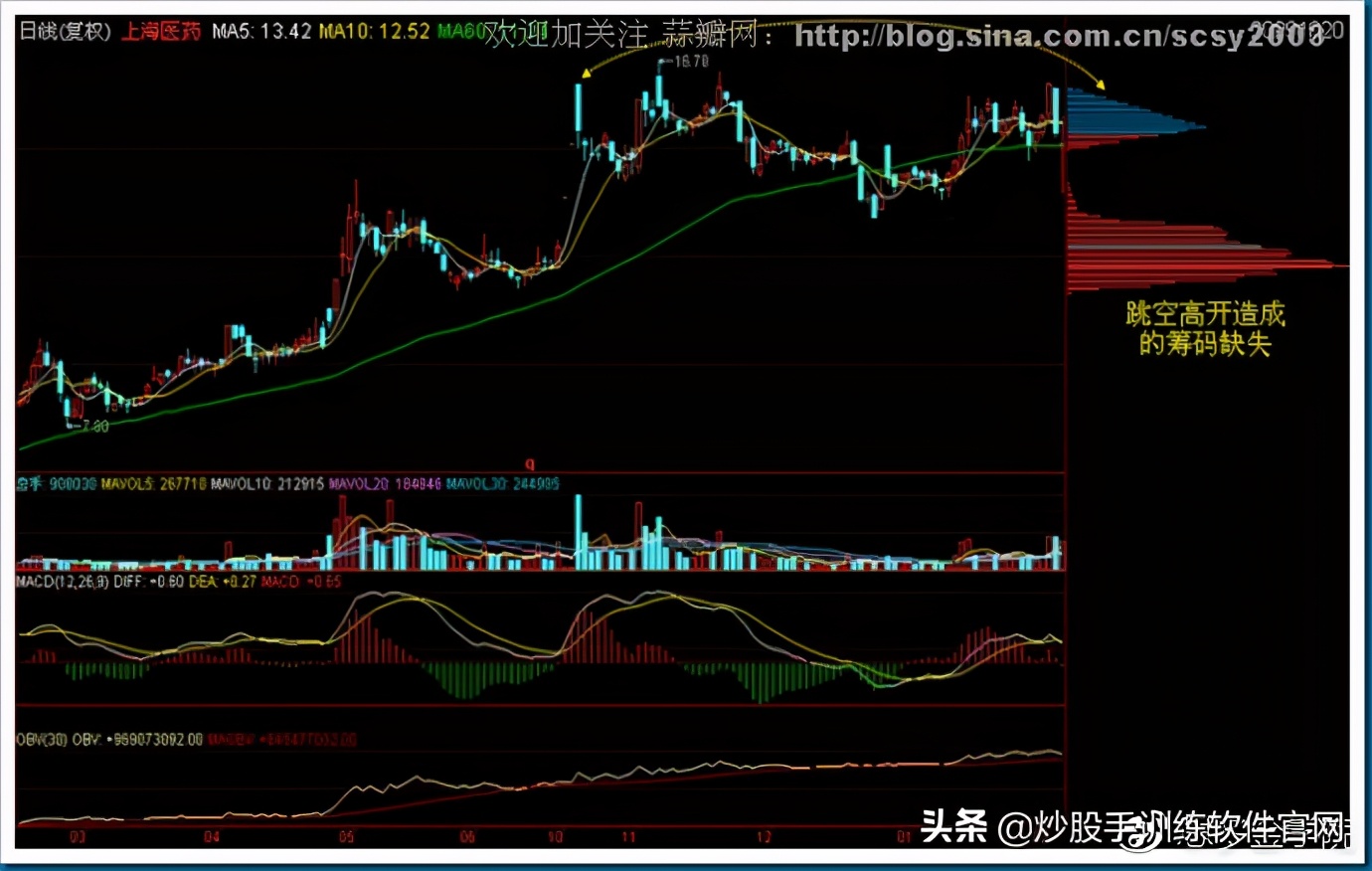 筹码分布图入门与技巧,筹码分布运用详解大全