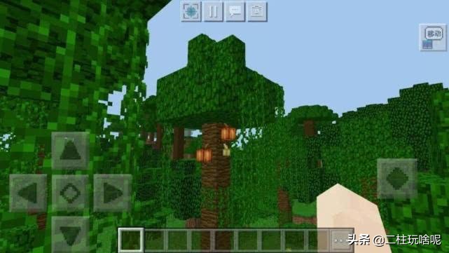 十大珍稀植物排行榜,中国十大珍稀植物排名