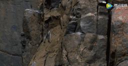 BBC最棒8部纪录片，强烈推荐孩子暑假看